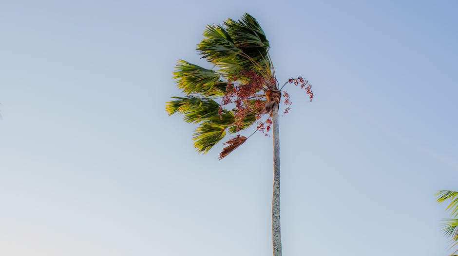 11 Actividades para Trabajar las Emociones: Guía Práctica y Divertida