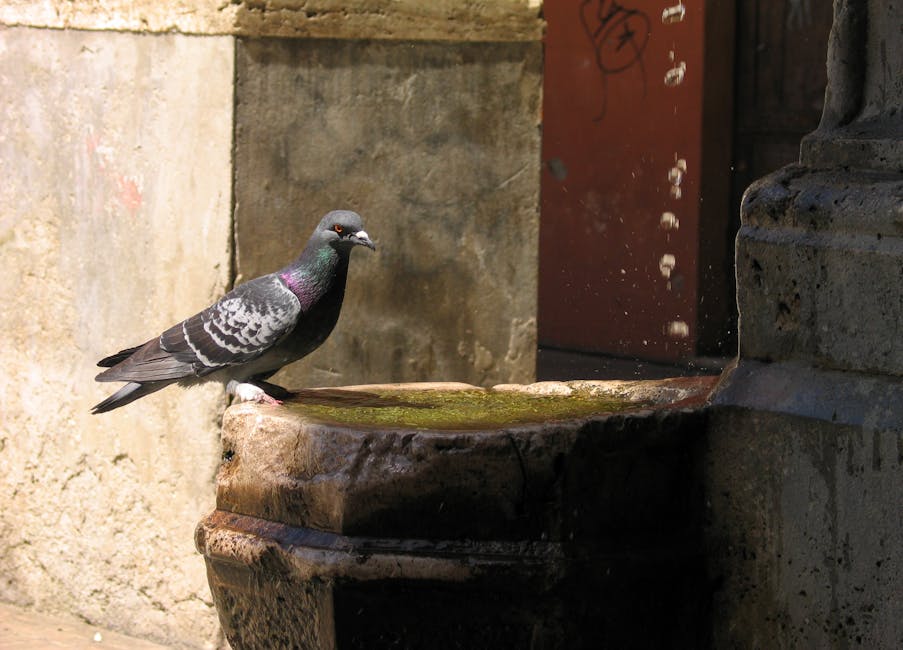 Psicología del cambio: adaptarse a entornos inciertos