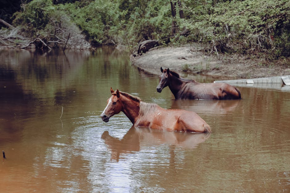 Psicología del éxito: hábitos para líderes innovadores